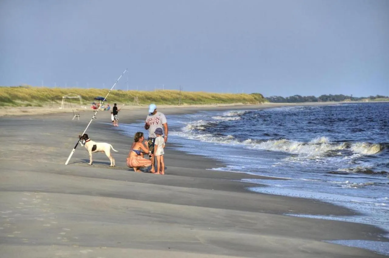 Dolphin Delight Oak Island