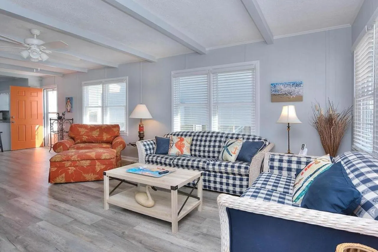 Dolphin Delight Oak Island