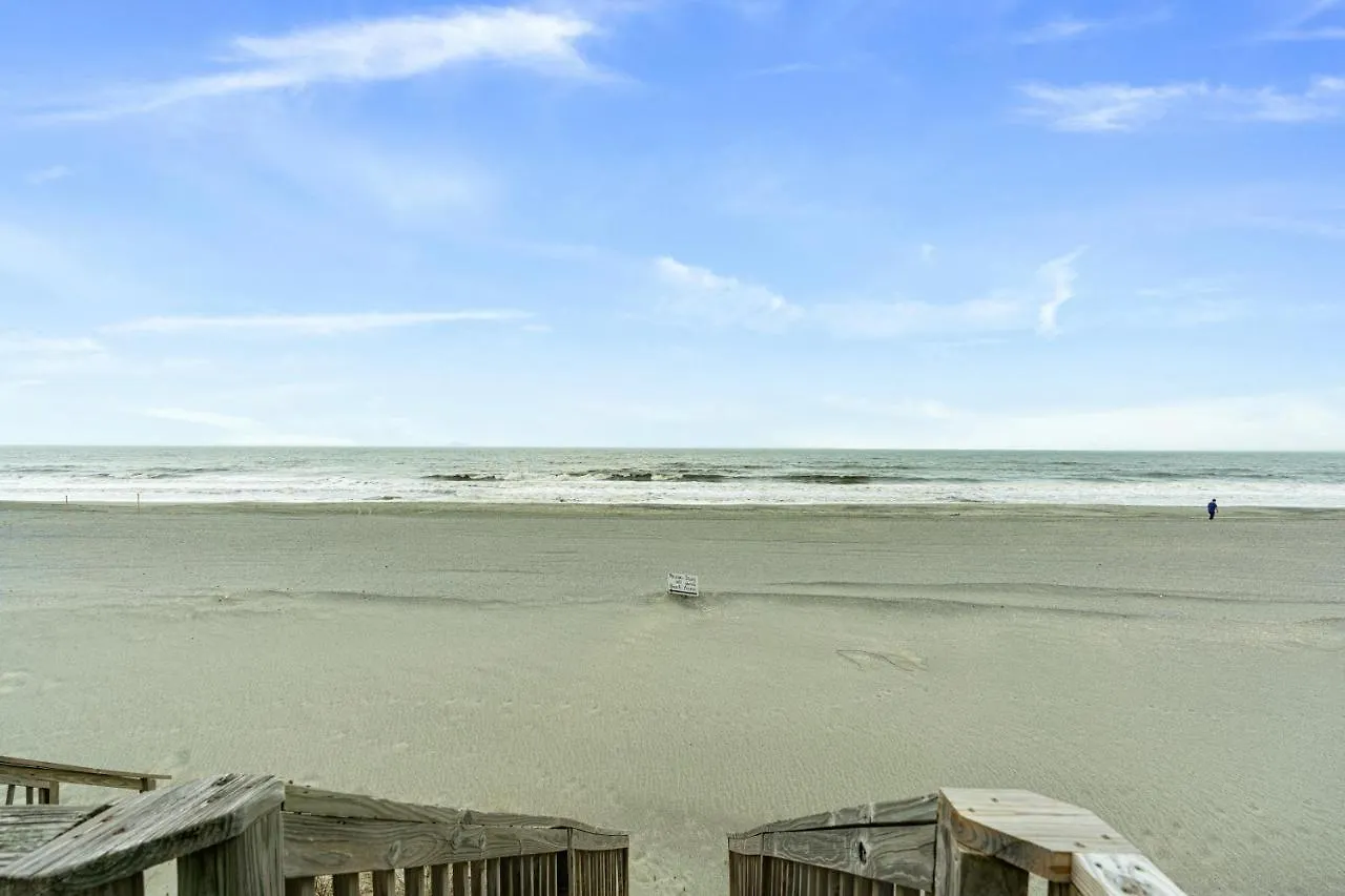 My Two Gulls By