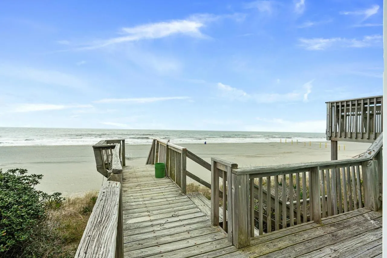 My Two Gulls By Oak Island