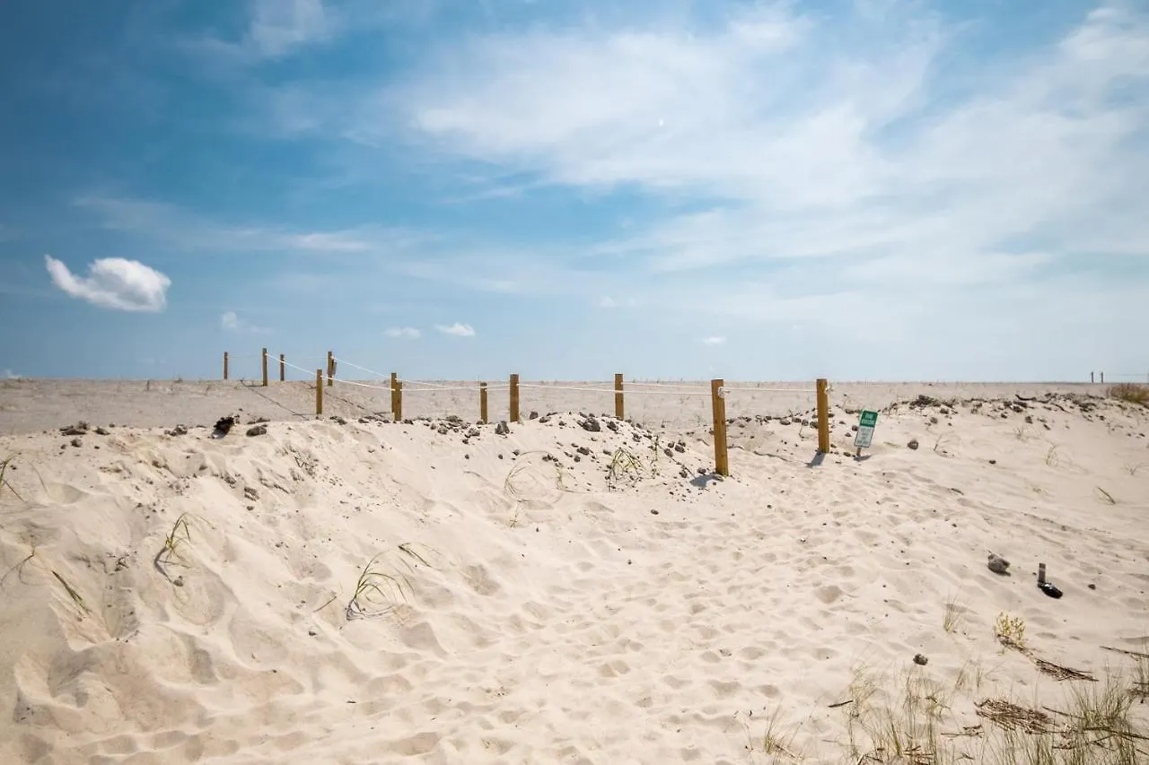 Beside The Sea By Oak Island