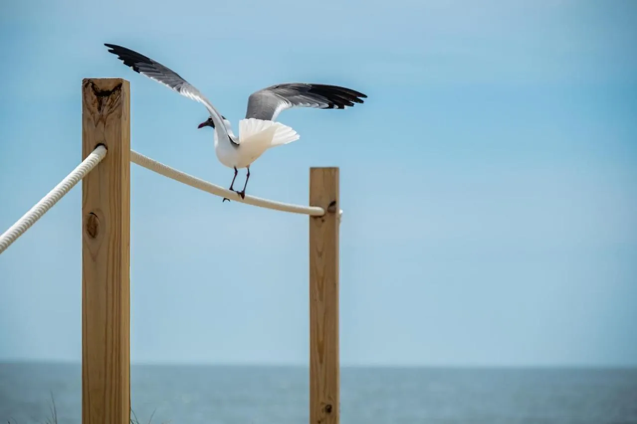 Southern Shores By