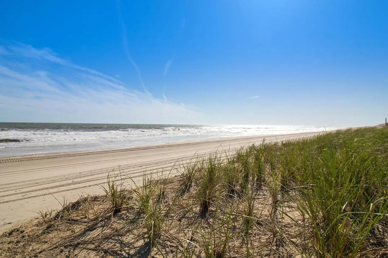 Small Pleasures Oak Island