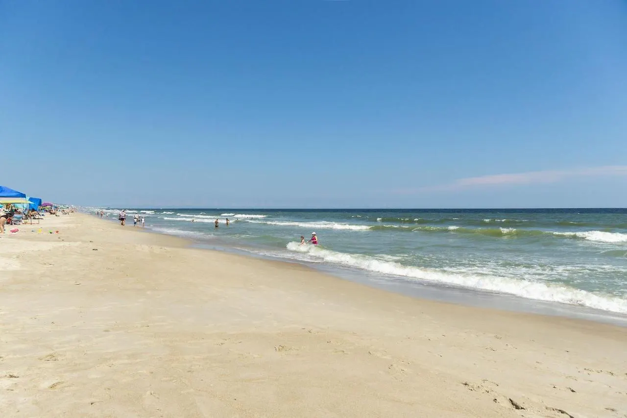 Dreamsicle By * Oak Island
