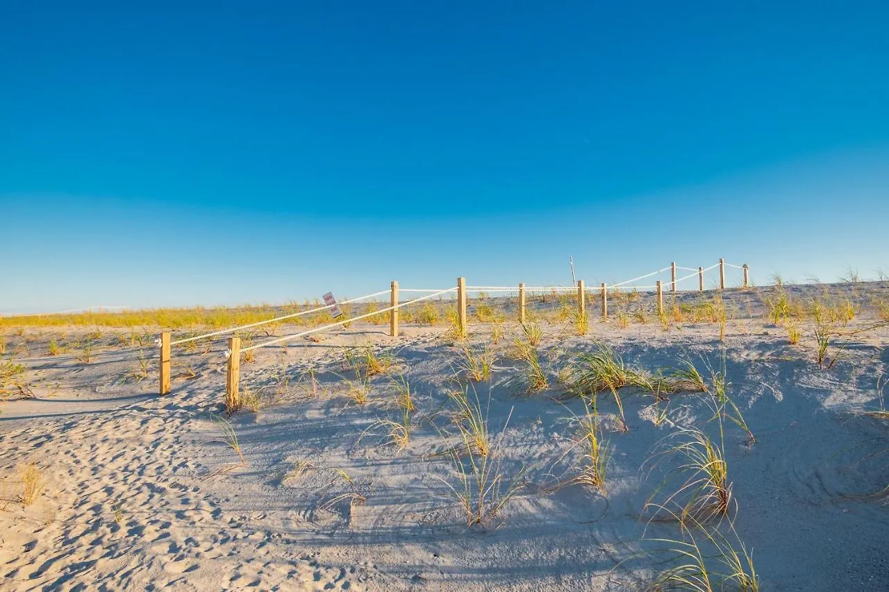 Lady Dune By *
