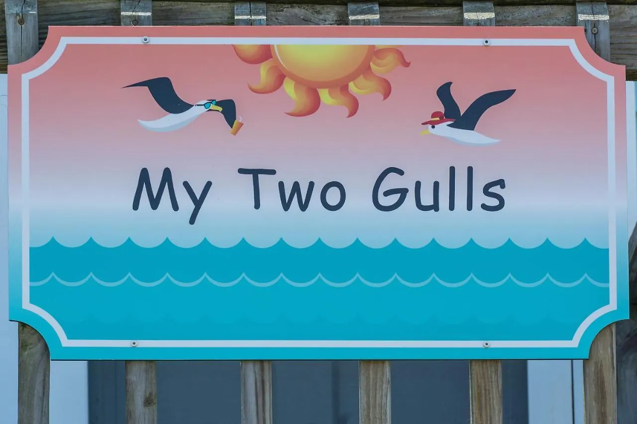 My Two Gulls By *