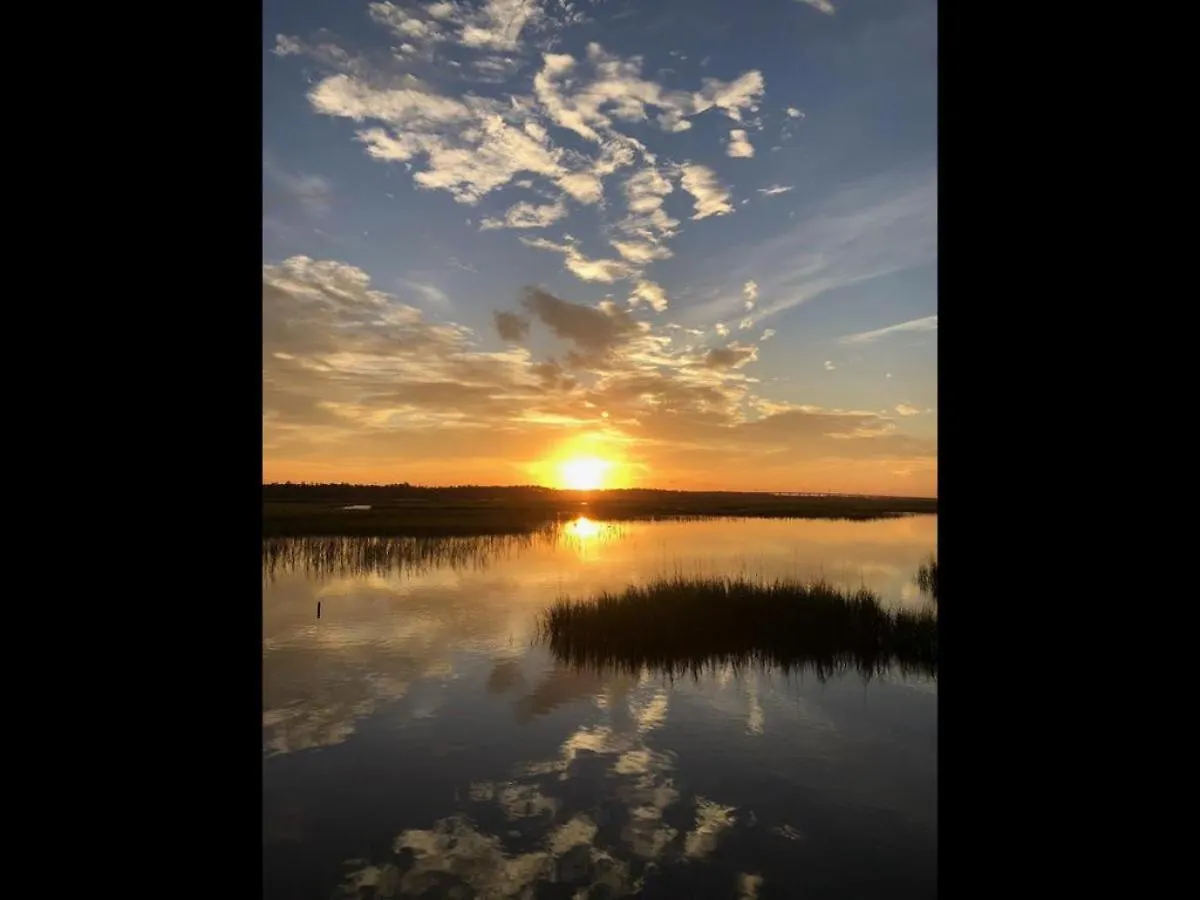 Reel Simple Oak Island