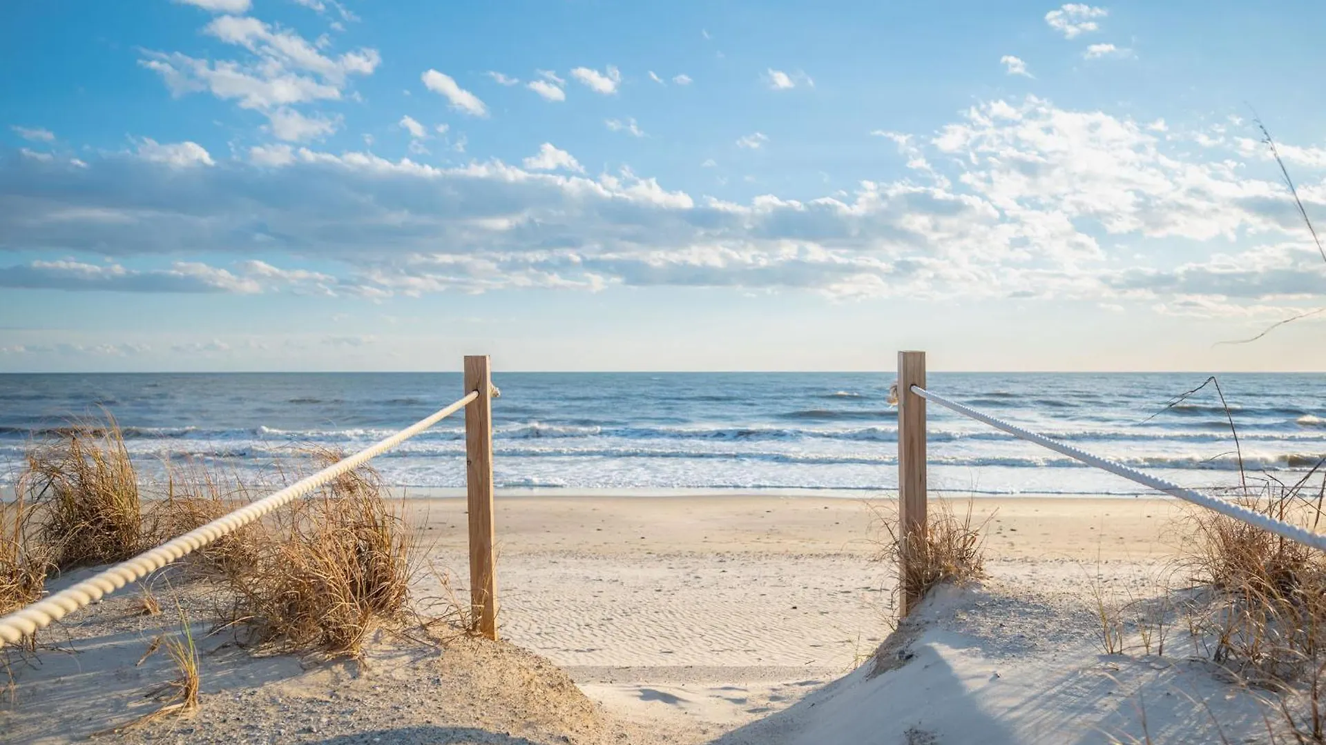 Sandy Dunes Oak Island