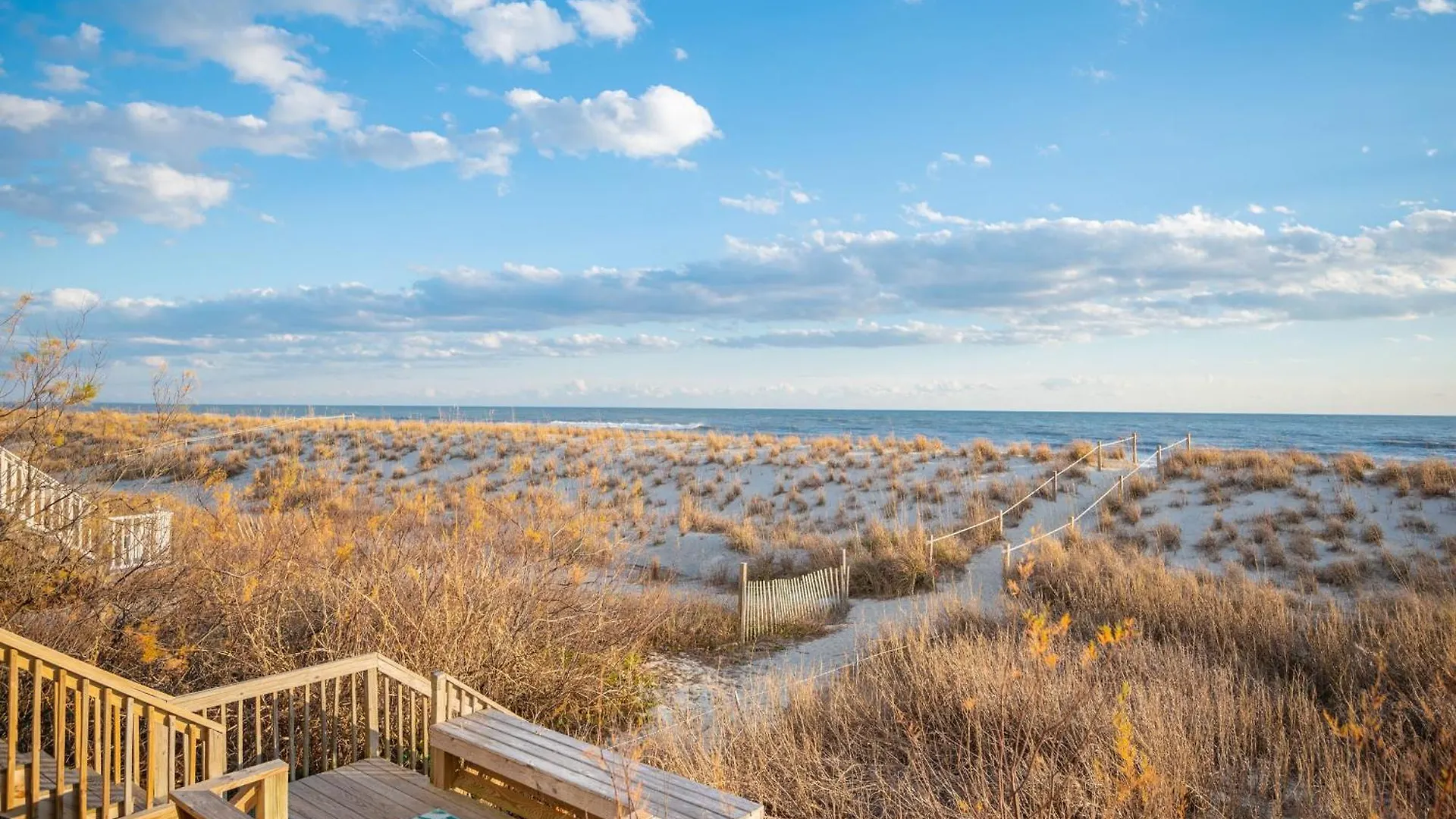 Sandy Dunes *