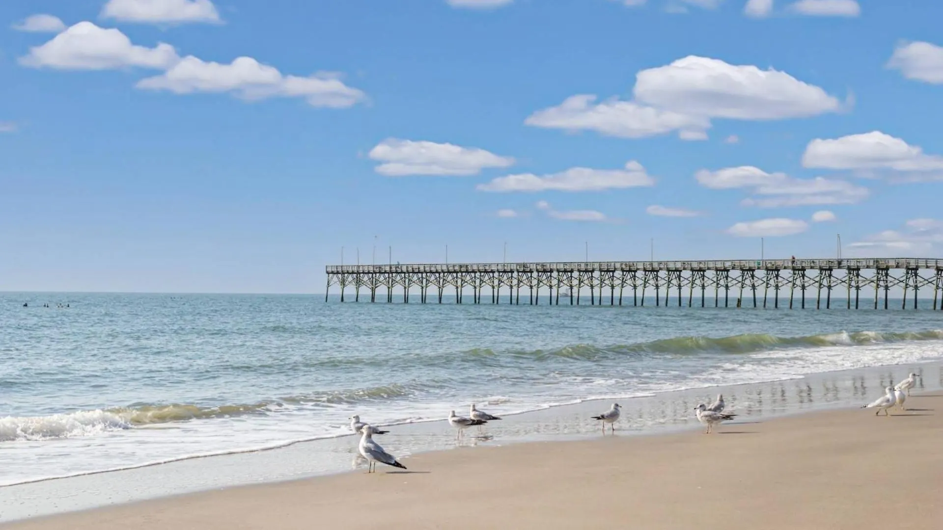 Cosea * Oak Island