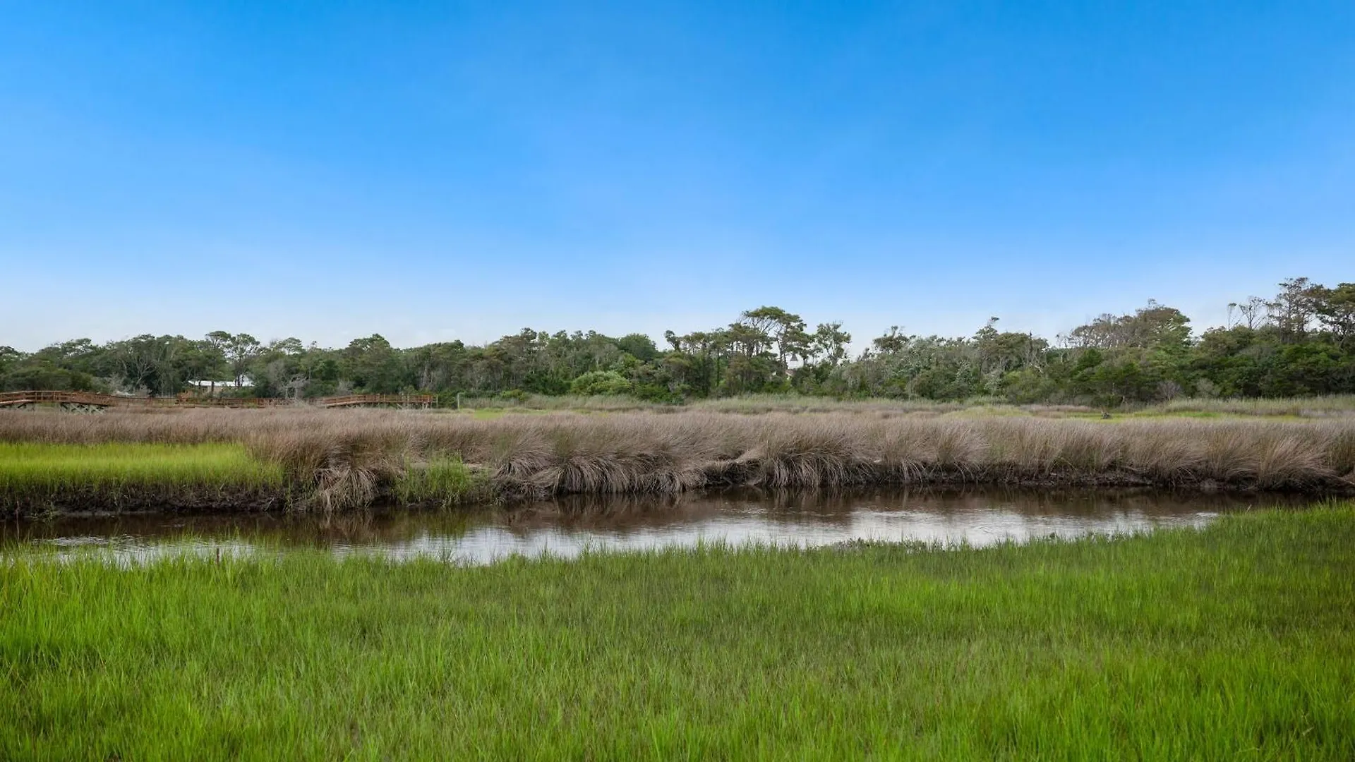 The Marsh Oak Island