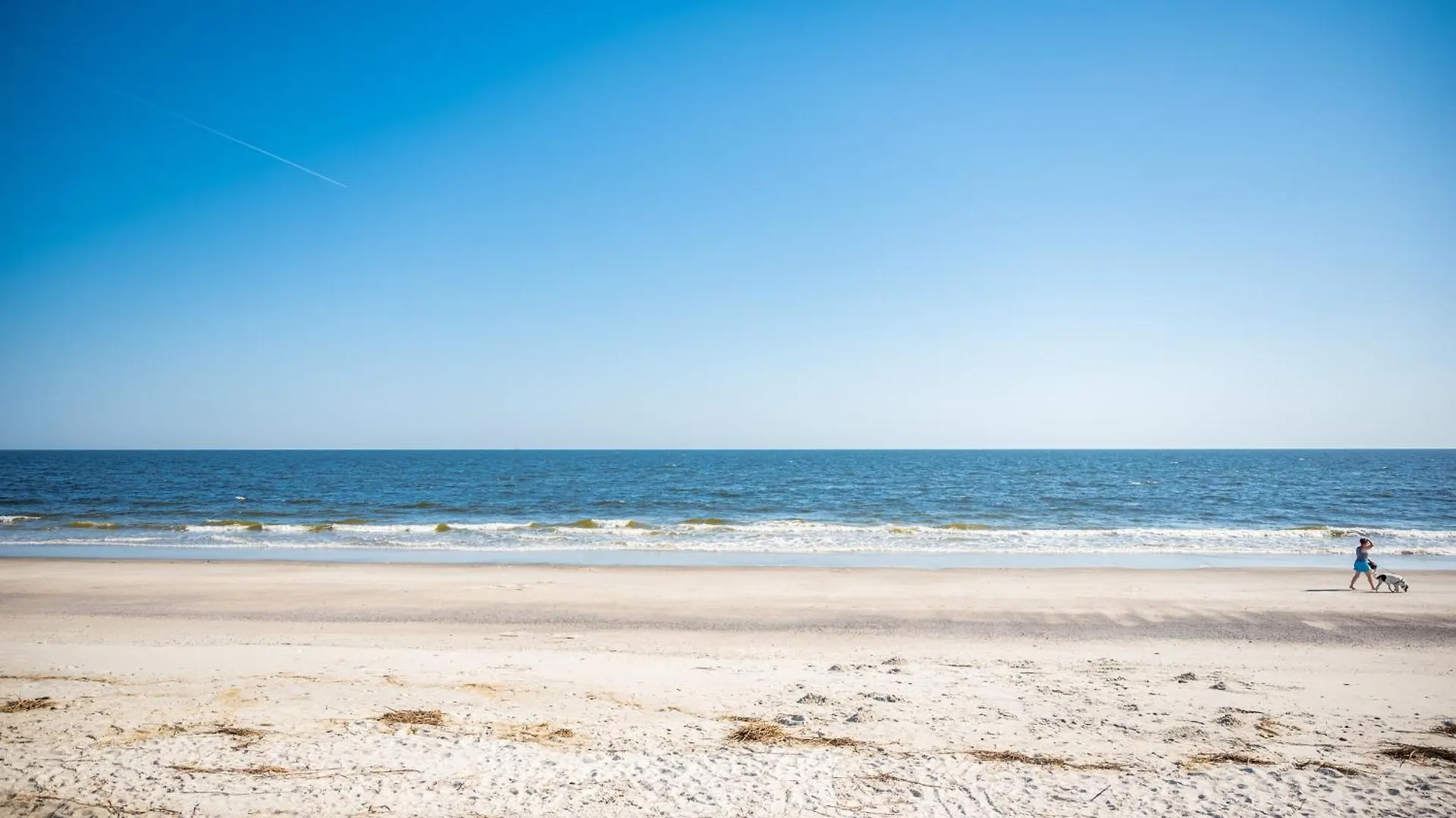 Waves Of Joy * Oak Island