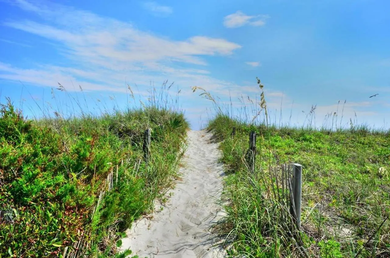 Lucky Enough Oak Island