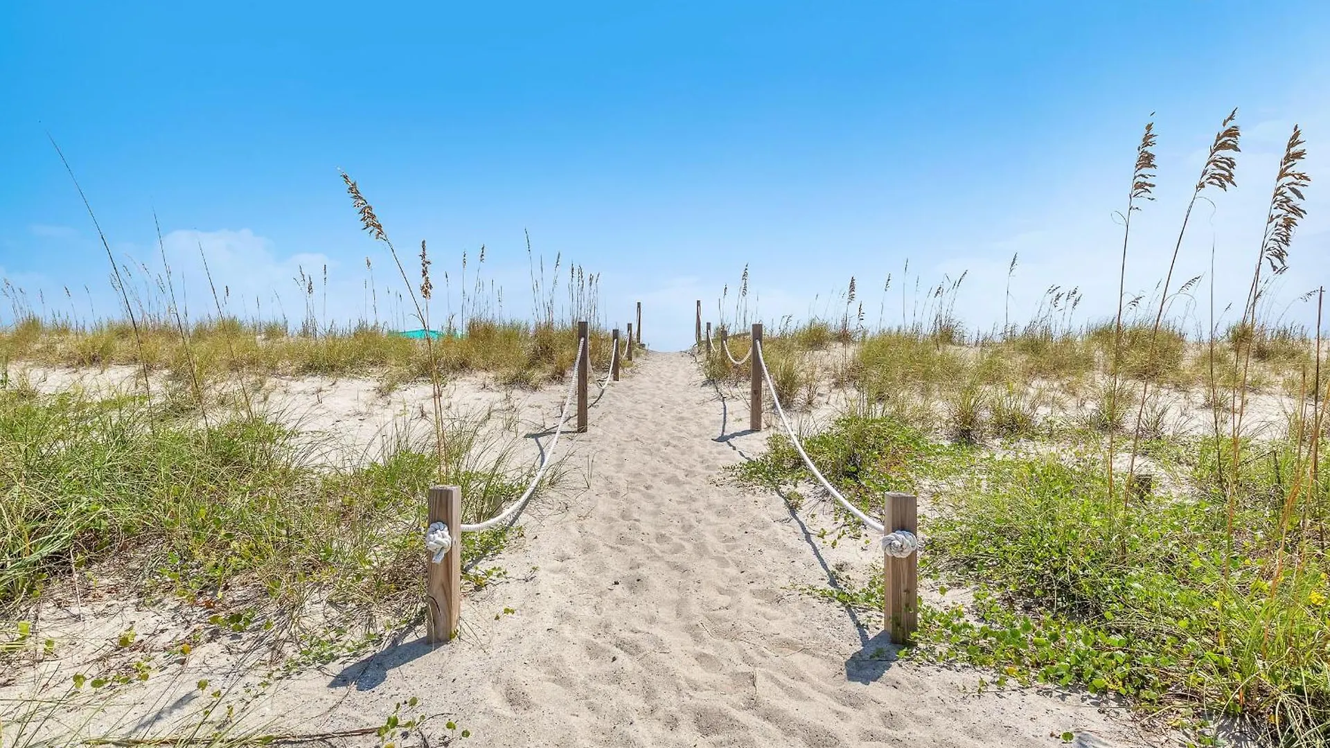 Surf Watch By Oak Island