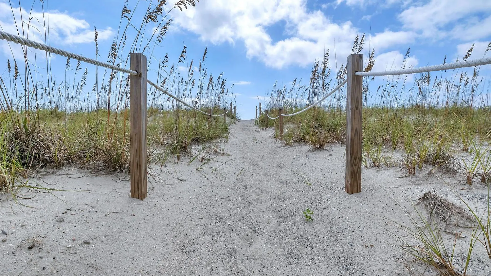 Another Experience By * Oak Island