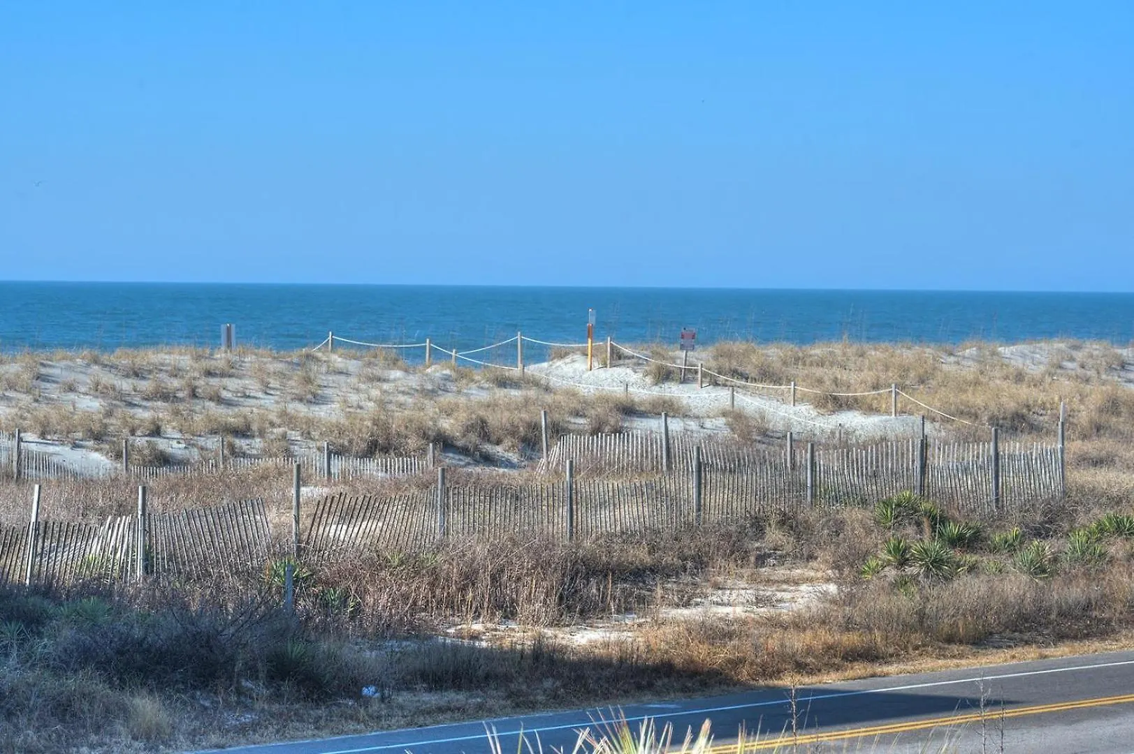 Shells Yeah * Oak Island