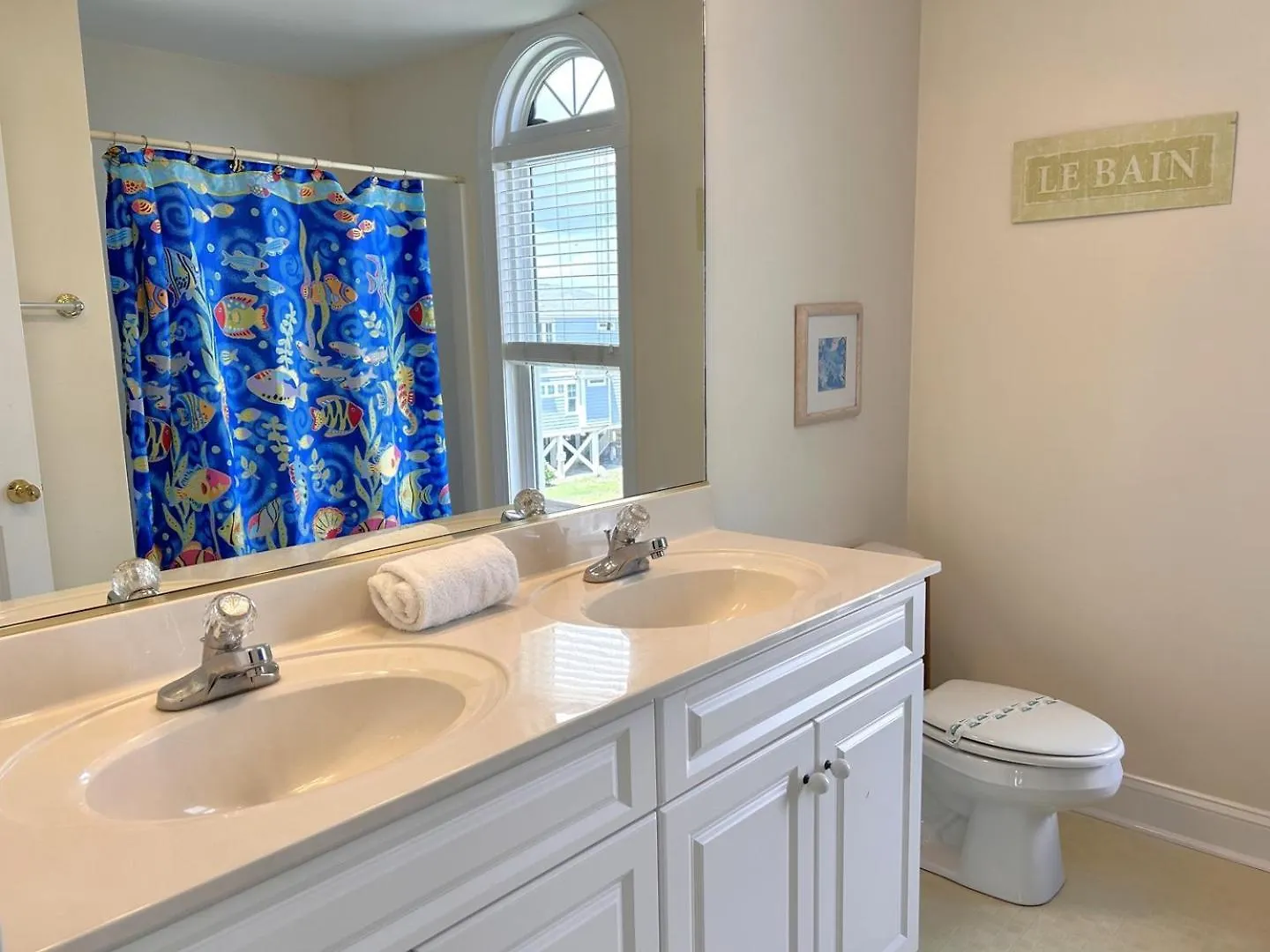 Apollo Oak Island