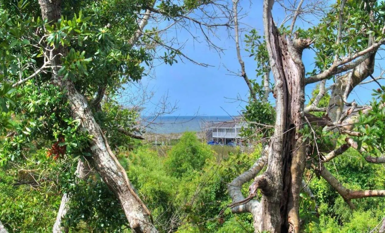 Slow-n-steady Oak Island