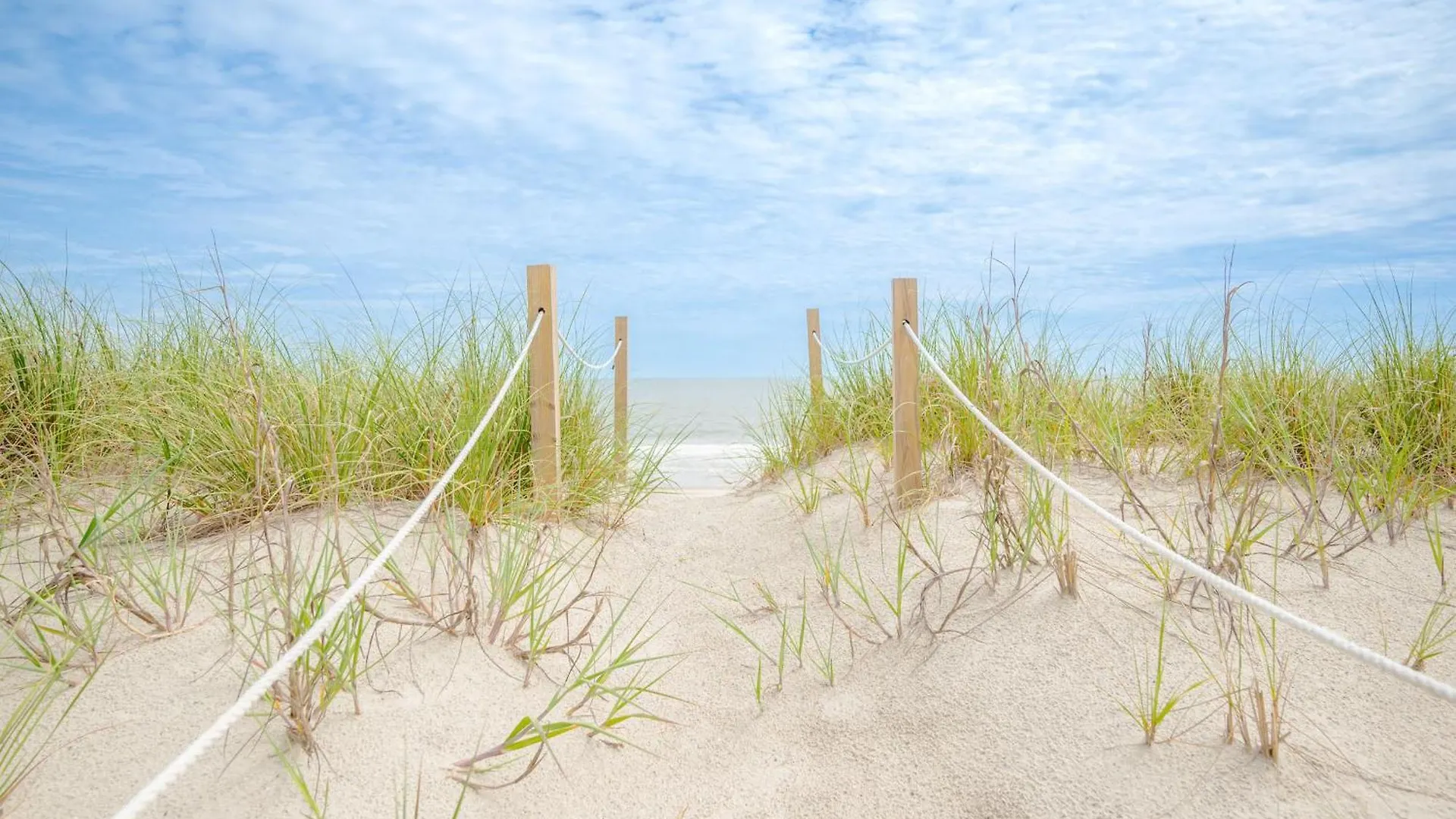 A Shore Place By 오크 아일랜드